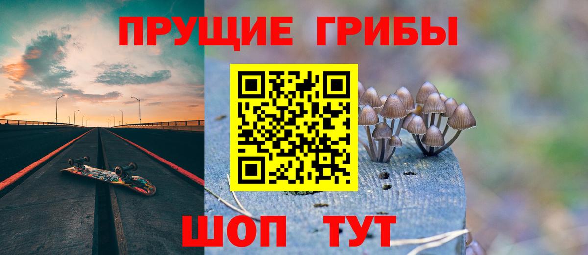 Псилоцибиновые грибы Psilocybe  Галлюциногенные грибы ЛСД  Гусиноозёрск  Вход с VPN 