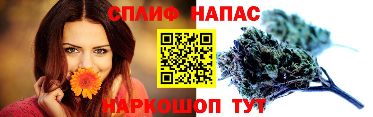 Канабис White Widow Гусиноозёрск
